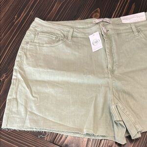 Women's light green shorts. NWT